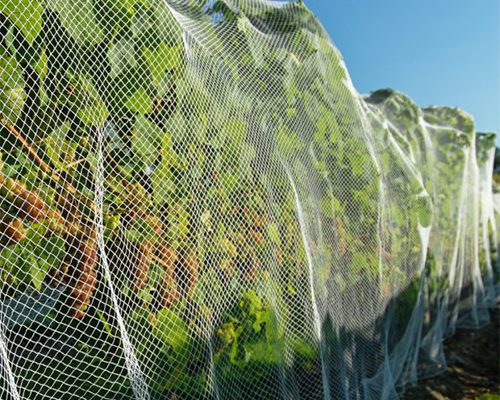 Garden Netting copy