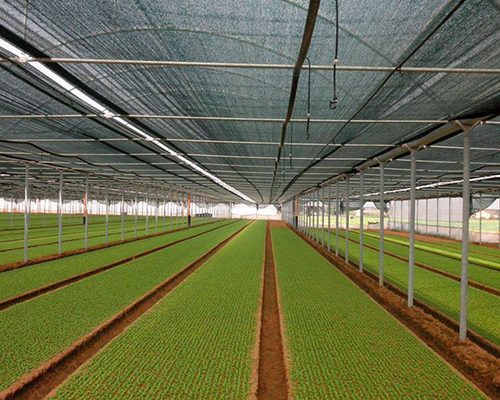 Shade Netting